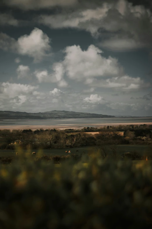 the landscape is very distant, with very few clouds