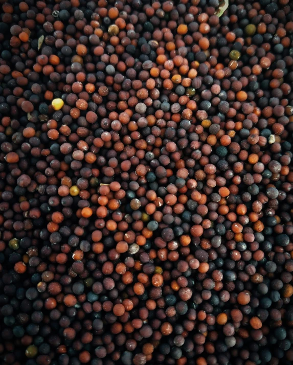 a bunch of black and brown balls with oranges