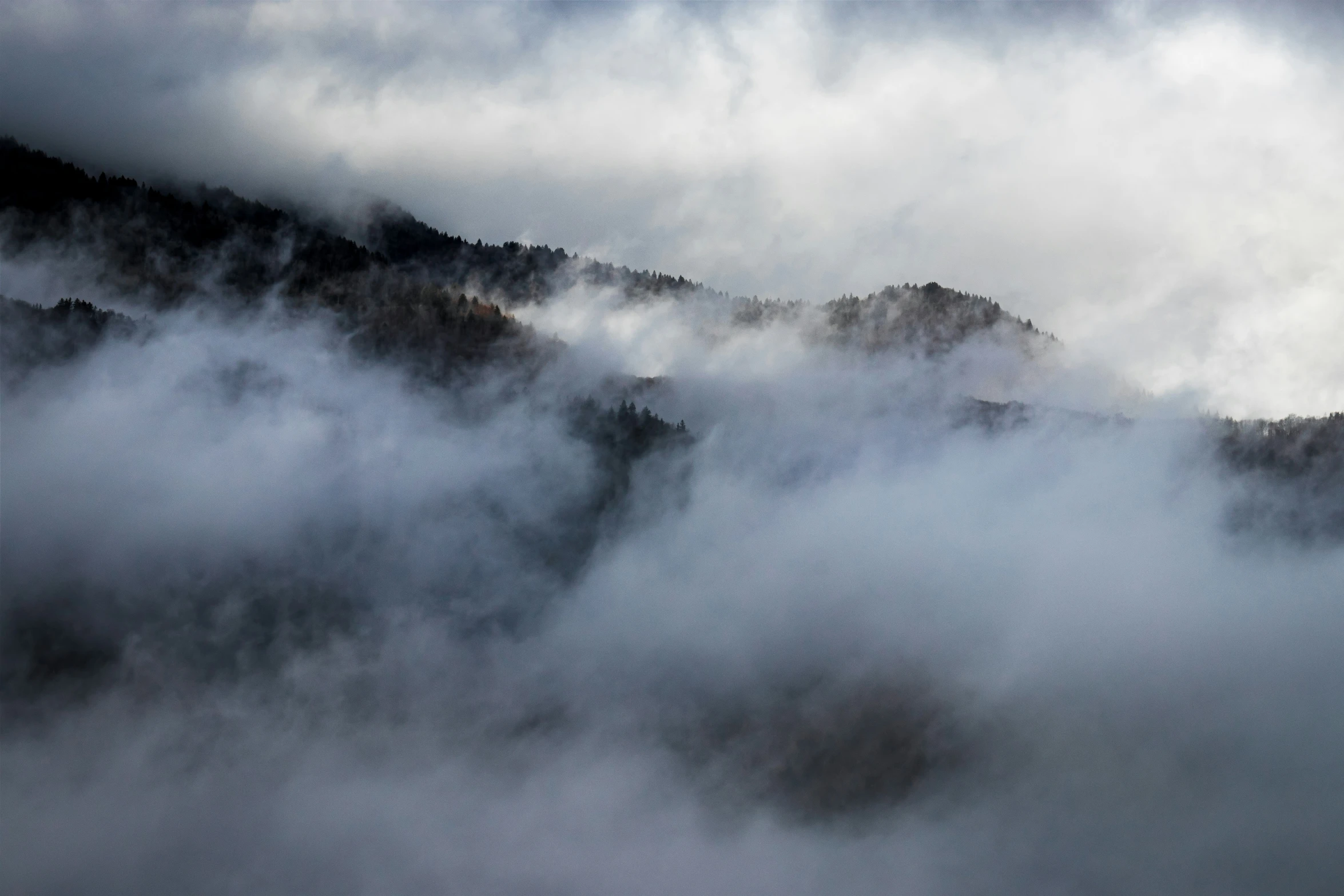 a very thick and foggy, mountain covered in trees