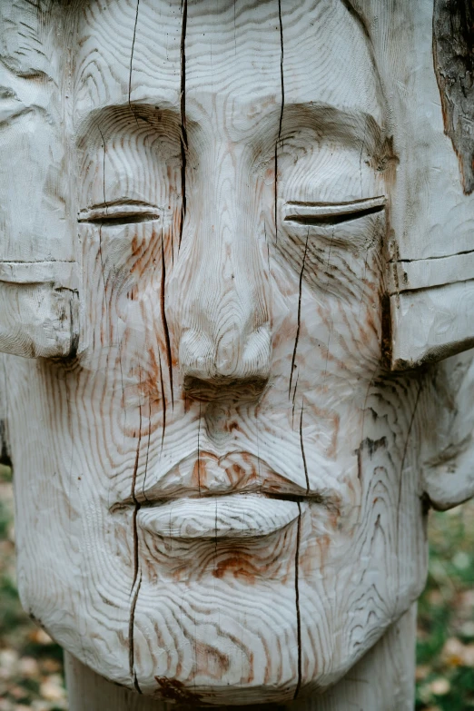 a face in a carved piece of wood