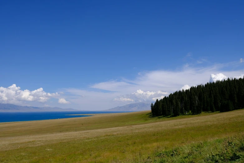 a lone bench on the edge of a field overlooking the water