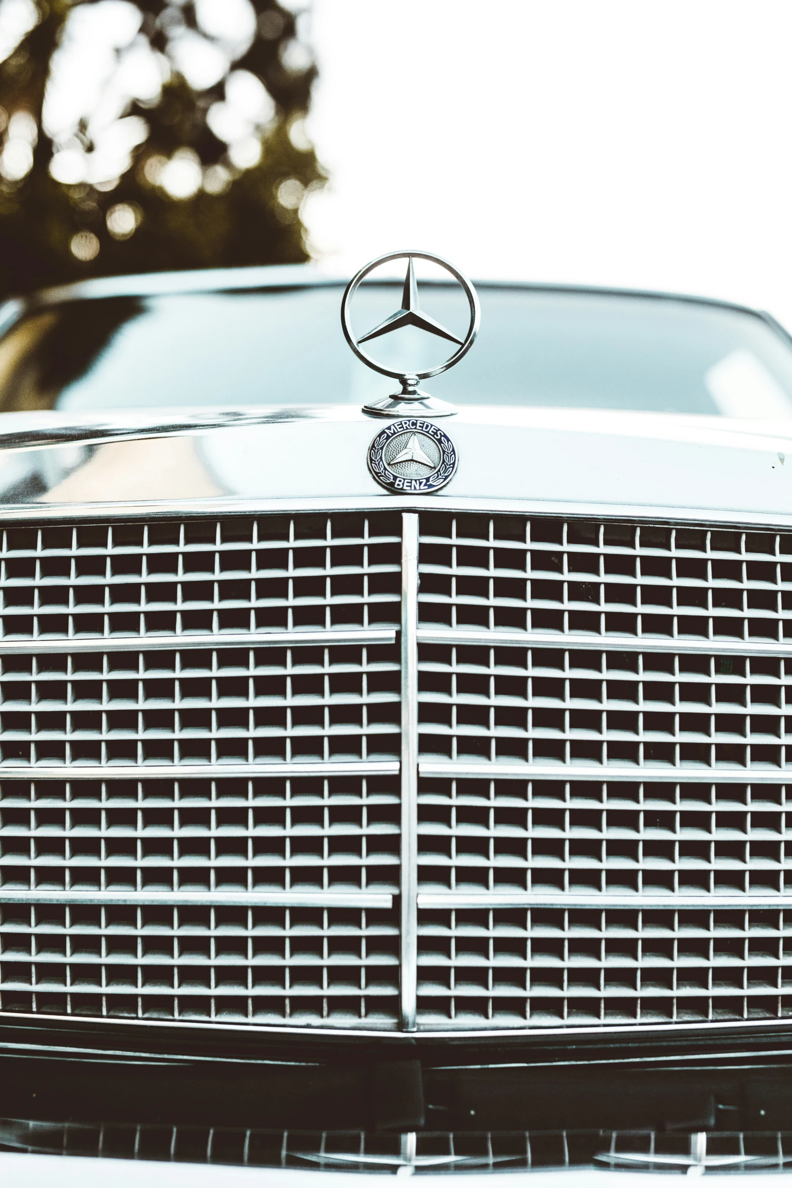 mercedes logo on the grille of an old mercedes