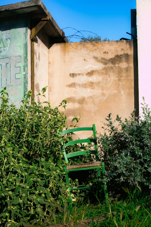 an old chair stands outside near some bushes