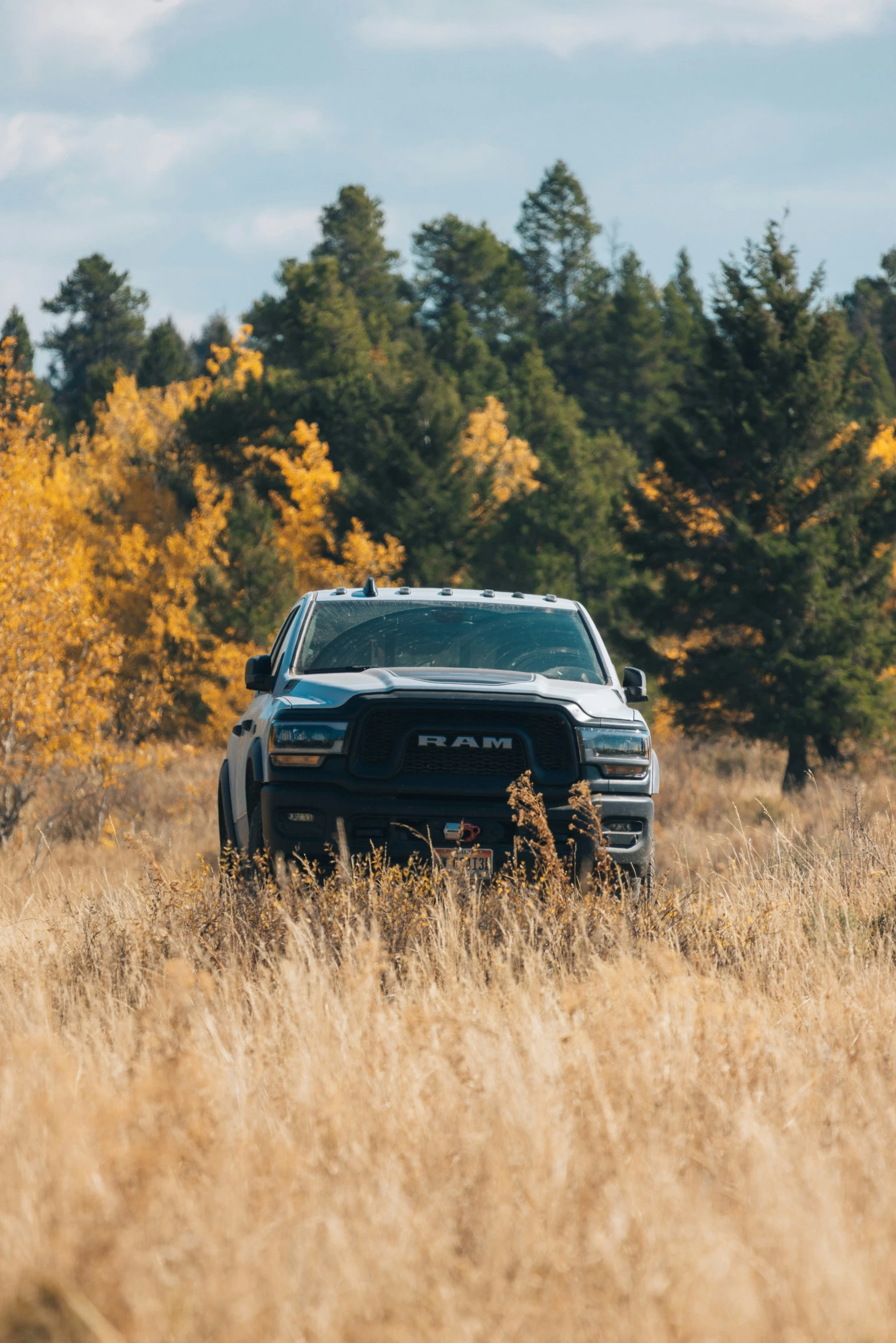 a truck in tall grass by some trees