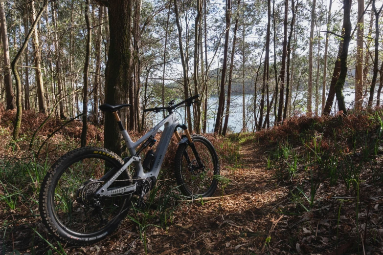 a bike laying in the woods near some water