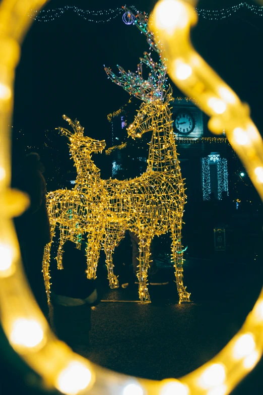 a picture taken through a wire with lights attached