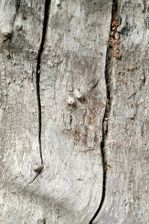 a  in the concrete with dirt markings