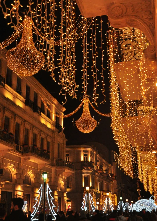 many lighted christmas lights and trees hanging above a street