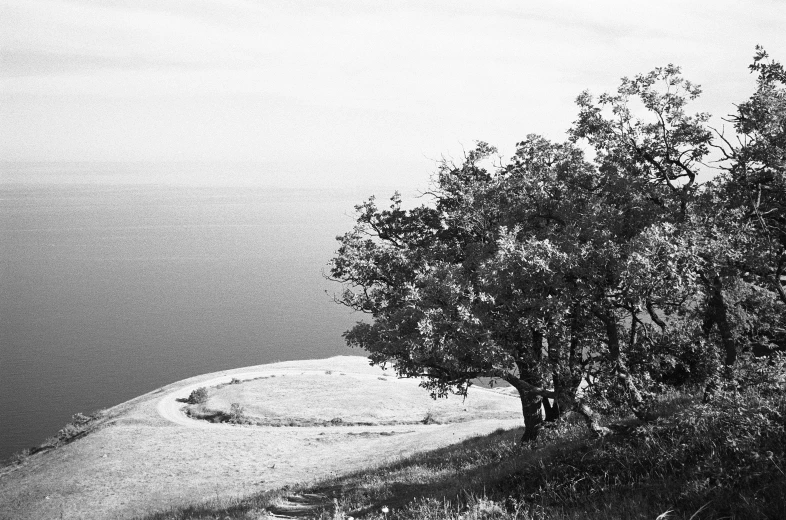 there is a couple trees and the water and hill