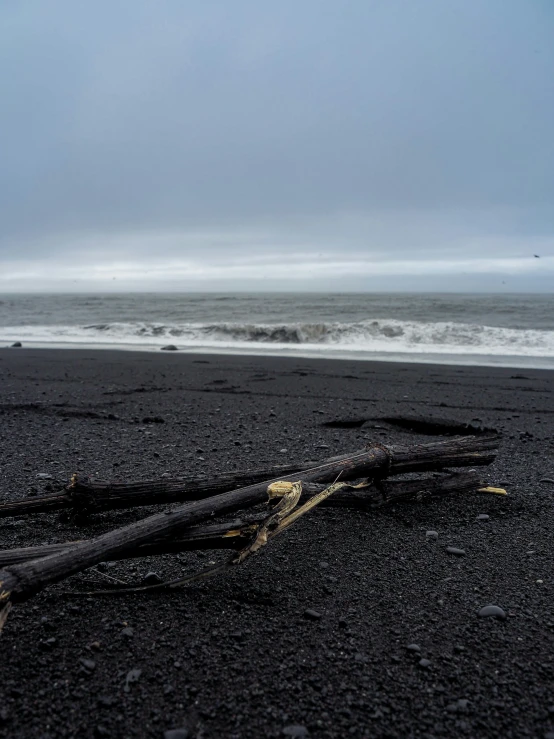 an old tree stump sitting on a black beach