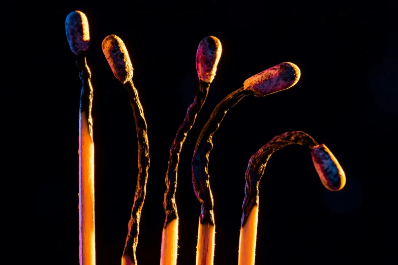 a close up of several lighted candles near one another