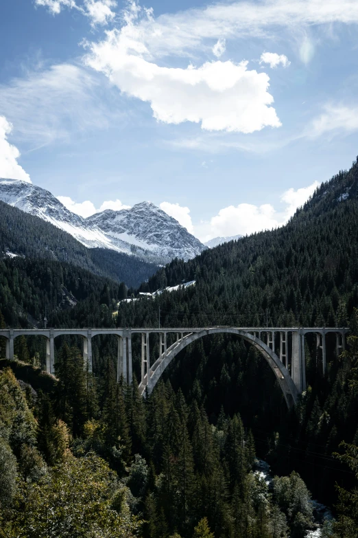 a bridge in the middle of trees and mountains