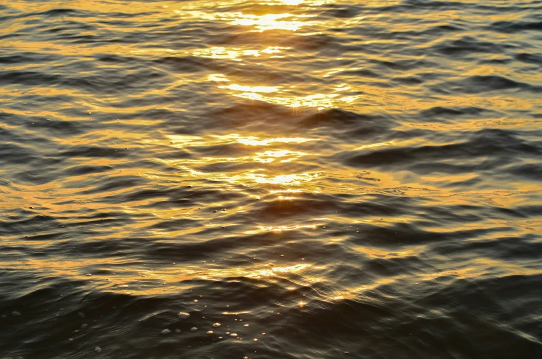 an orange sunset reflecting in water on the edge of water