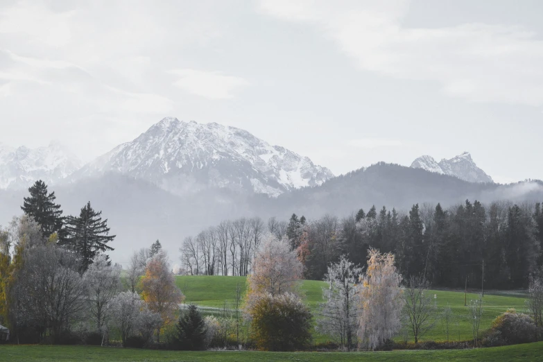 a lush green field surrounded by snow covered mountains