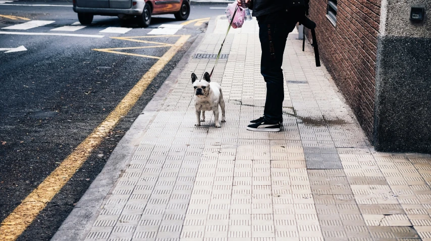 a woman and her dog walking down the street