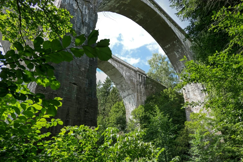 old bridge, surrounded by lush green trees and lush grass