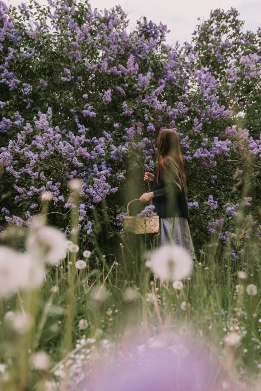 a woman walks through a field full of flowers