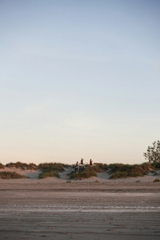 people standing outside and flying a kite