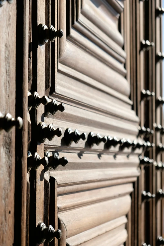 the carvings and designs on a wooden door