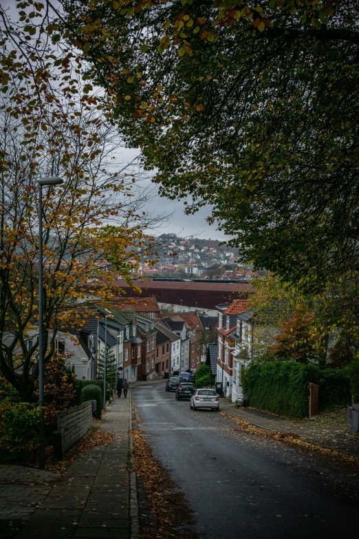 the road is lined with trees, and cars are parked along the road