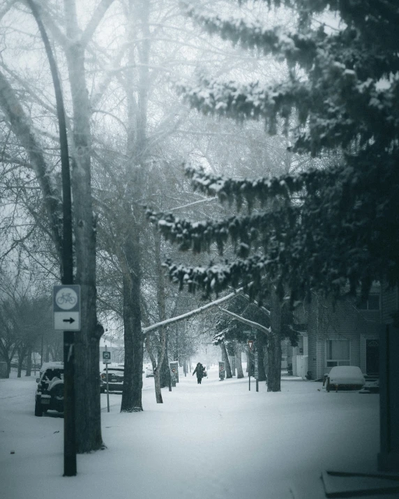 the people are walking across the snow covered street