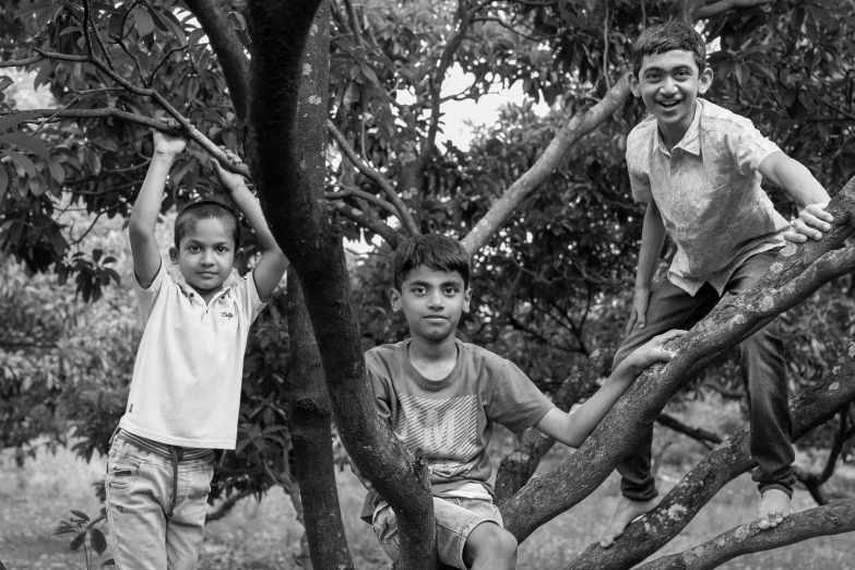 some little boys standing up on a tree nch