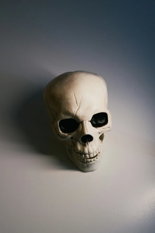 an empty skull sitting on the floor