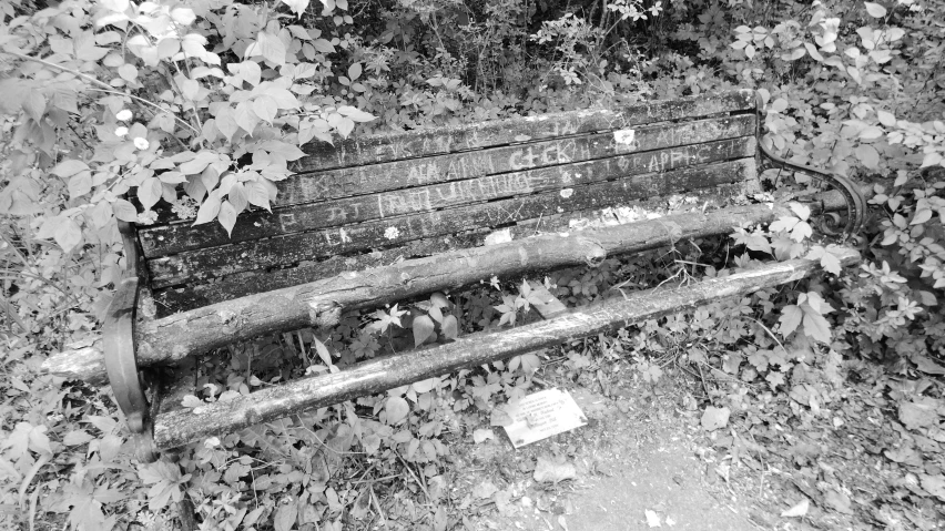 the park bench is surrounded by vines and leaves