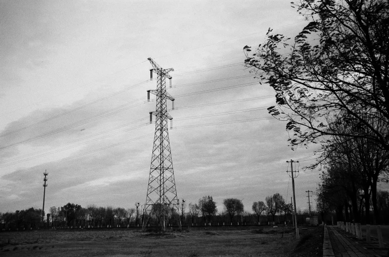 power lines in a black and white po