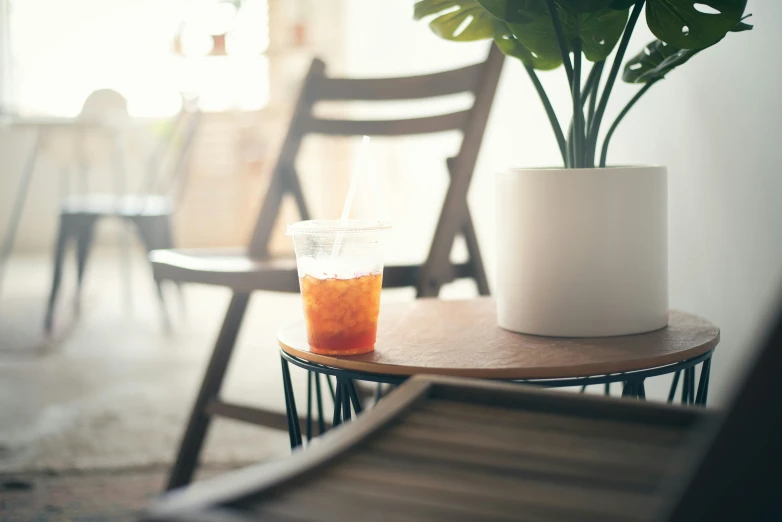 a plant with orange juice sitting on a wooden table