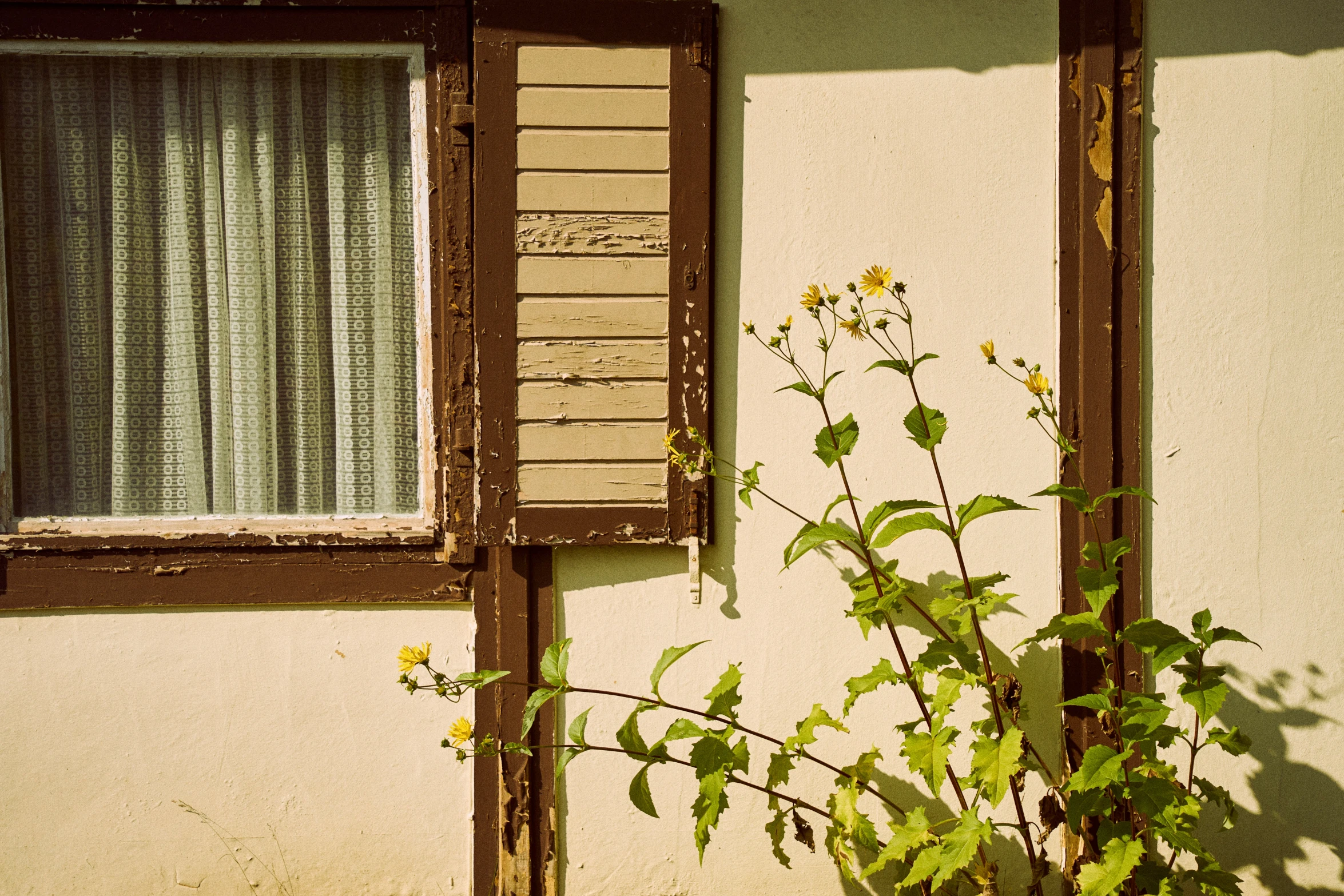 an old window with wooden shutters and wooden blinds