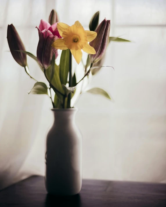 an image of a vase full of flowers