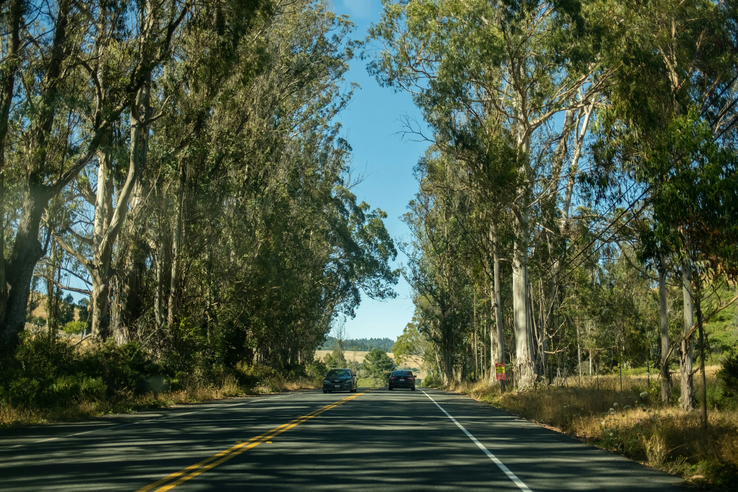 a view from a car driving down the middle of the road