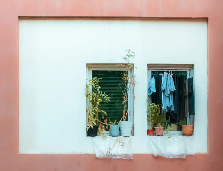 there is a window with plants in it