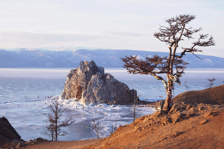 a very rocky outcropping by the ocean with a tree on it