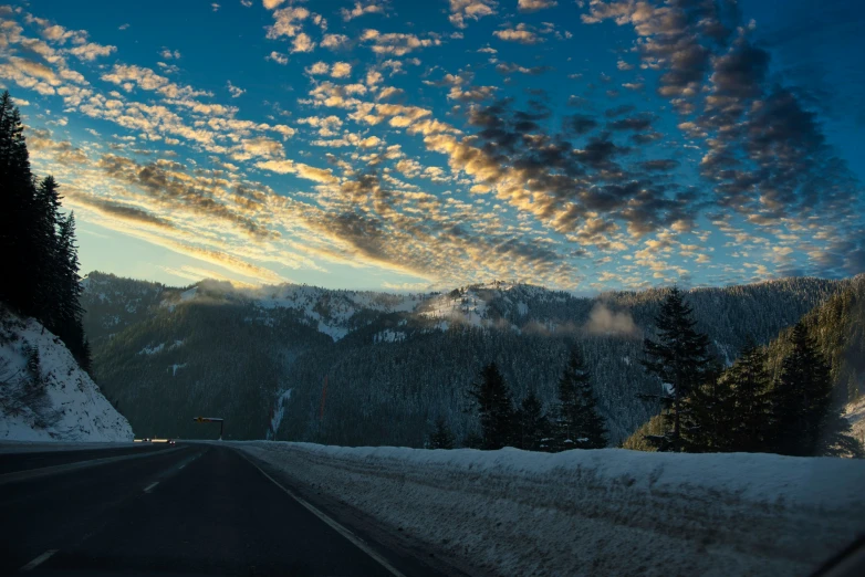 a snow covered road surrounded by pine trees