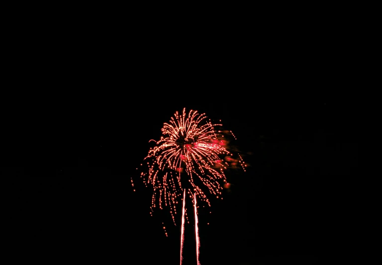 a firework is exploding on a black sky