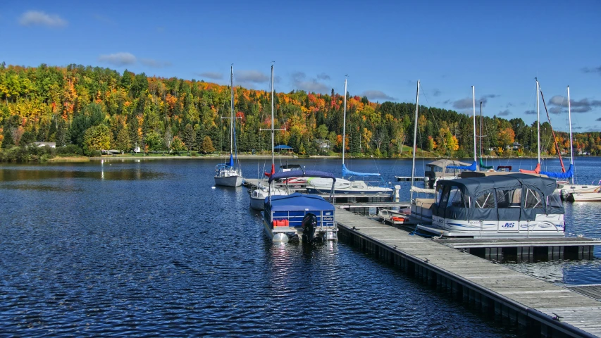 there are many boats that are on the water