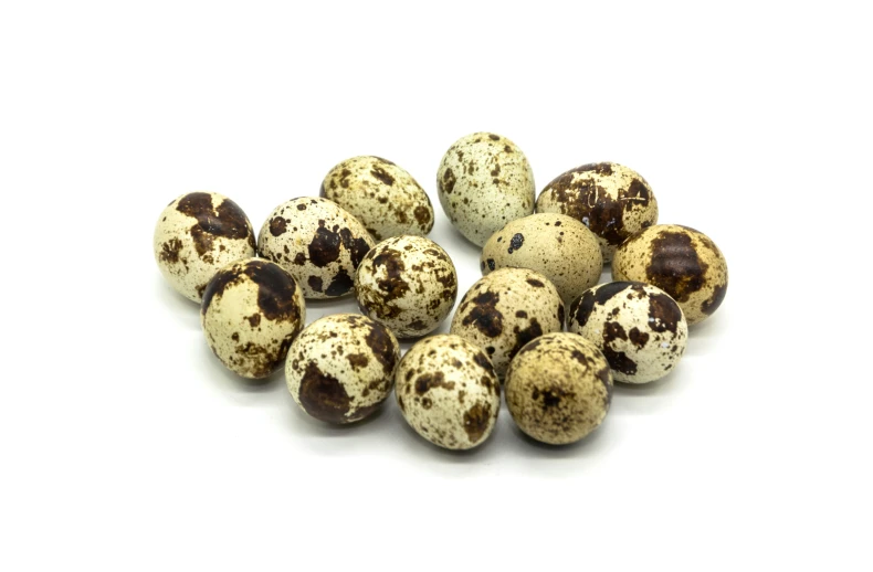 black and white spotted eggs laying next to each other