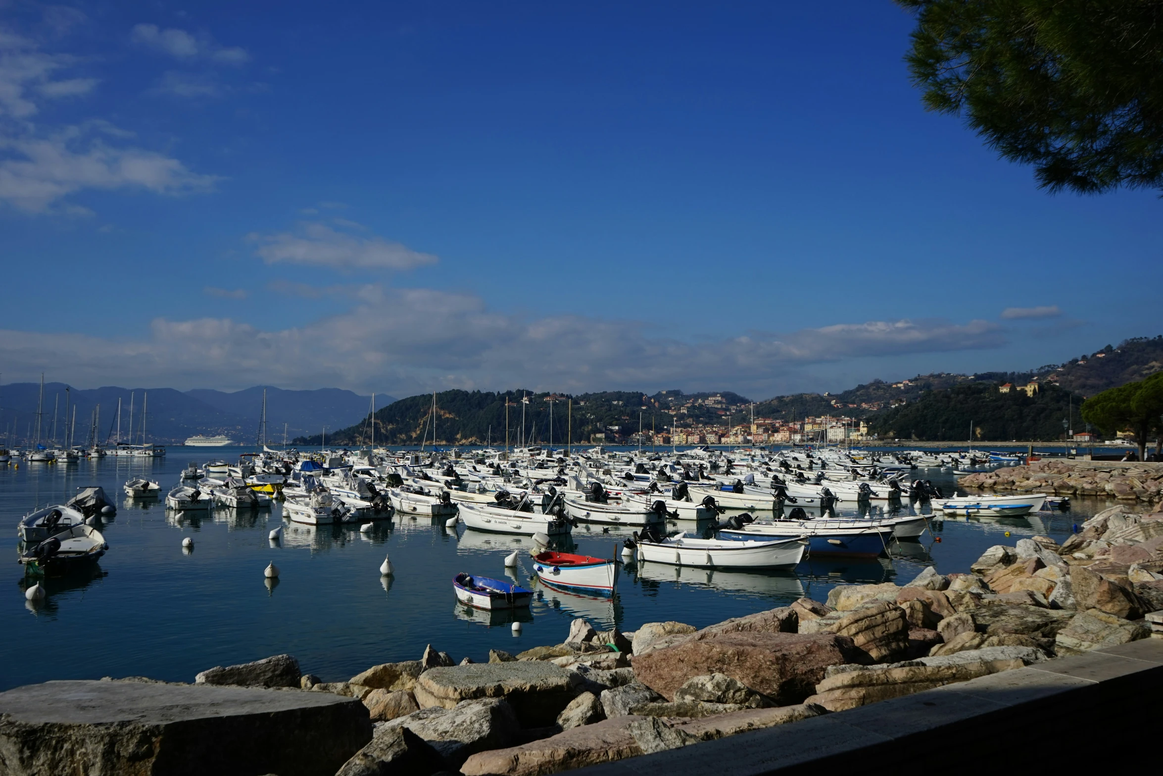 a group of boats parked in a harbor