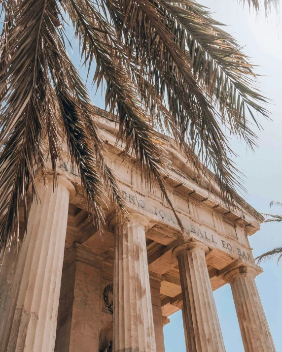 two tall pillars surrounded by palm trees under a blue sky