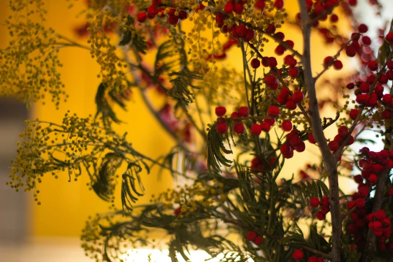 a small vase with some red flowers inside