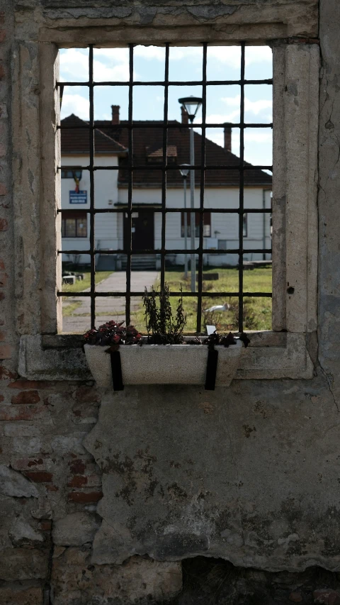 a window frame with flowers in it next to a brick building