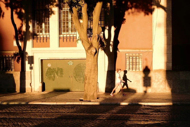 a  is walking his dog down the sidewalk