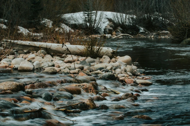 the water in the river is rushing out of the banks