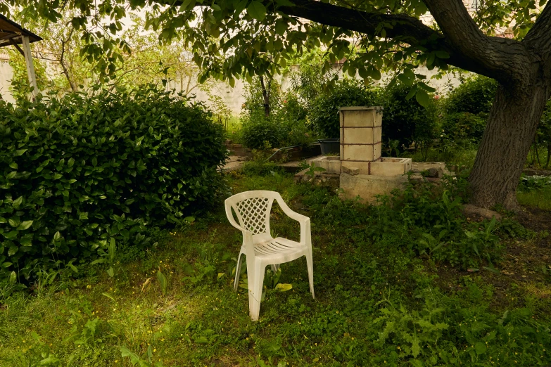 an empty chair sitting in the grass in front of a tree