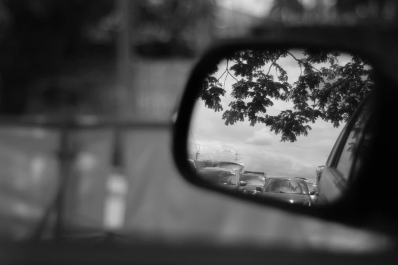 the rear view mirror of a car in front of a tree