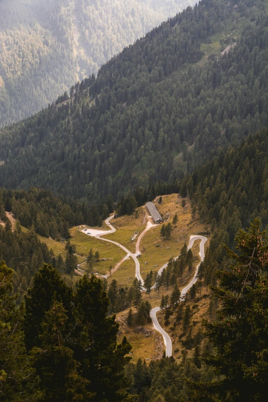 there is a winding mountain road in the woods