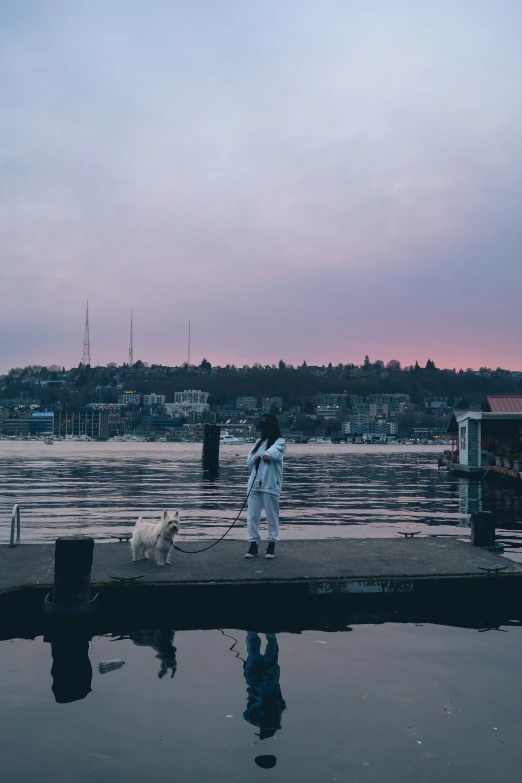 a person on a dock with two dogs