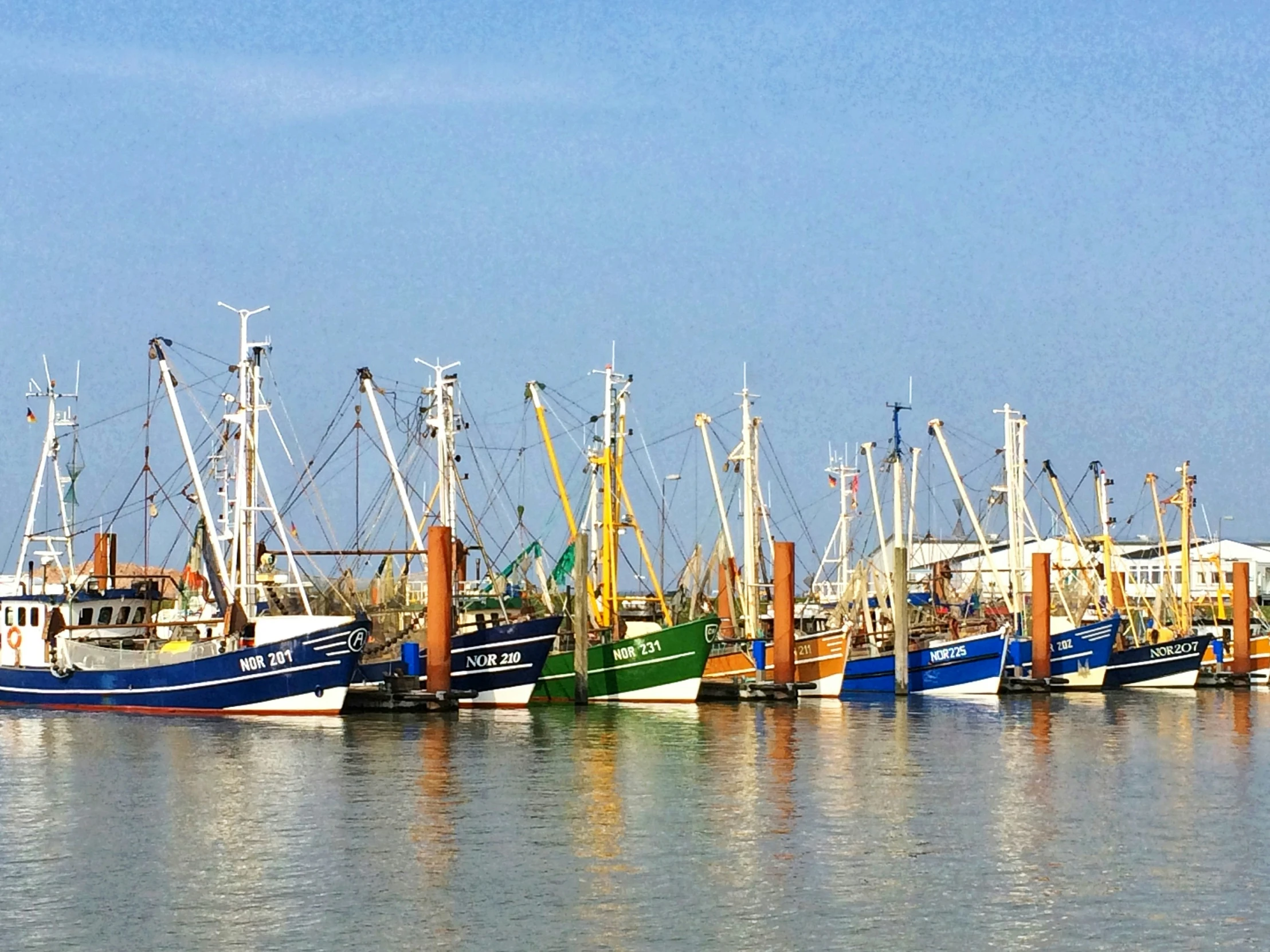 a row of boats are in the water